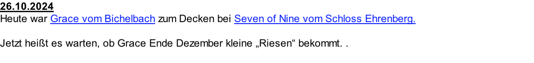 26.10.2024 Heute war Grace vom Bichelbach zum Decken bei Seven of Nine vom Schloss Ehrenberg.  Jetzt heißt es warten, ob Grace Ende Dezember kleine „Riesen“ bekommt. .