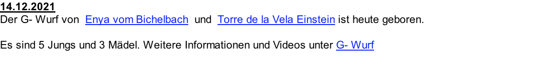 14.12.2021  Der G- Wurf von  Enya vom Bichelbach  und  Torre de la Vela Einstein ist heute geboren.  Es sind 5 Jungs und 3 Mädel. Weitere Informationen und Videos unter G- Wurf
